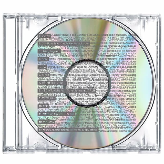 Album cover art for DIRT
