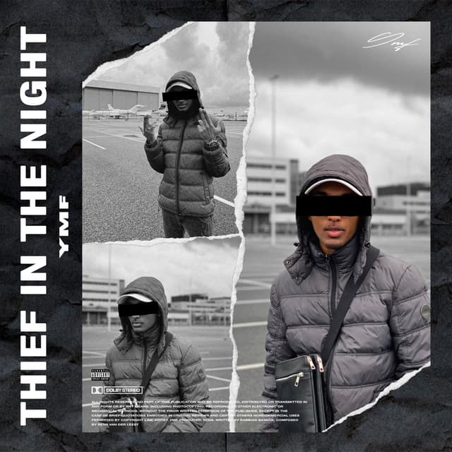 Album cover art for Thief In the Night