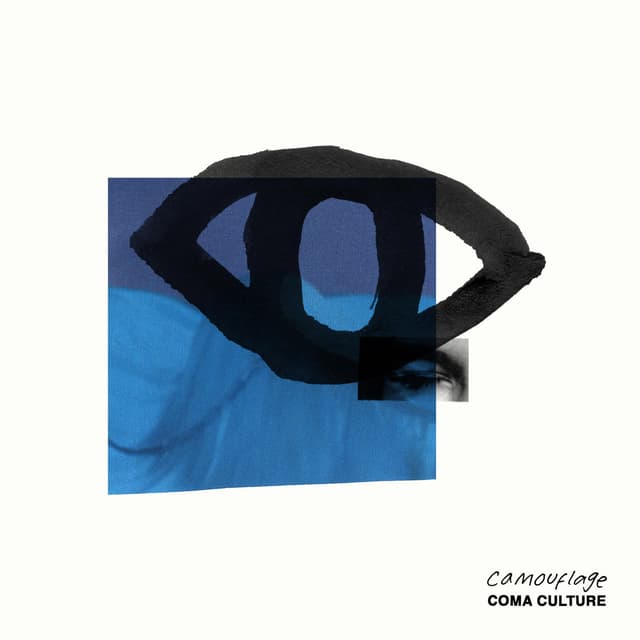 Album cover art for Camouflage