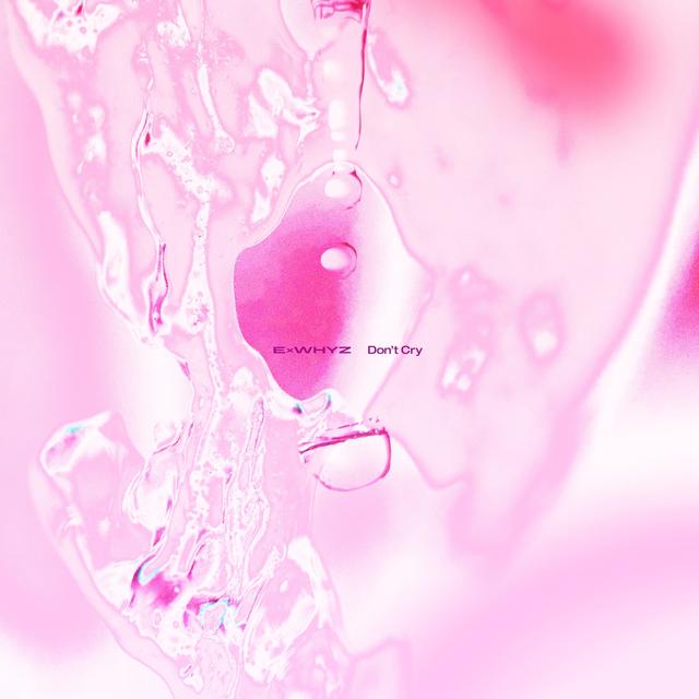 Album cover art for DON'T CRY