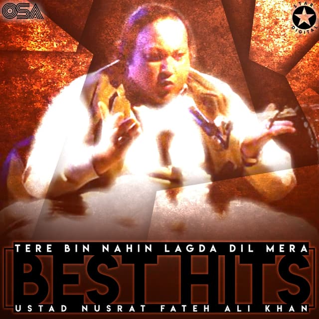 Album cover art for Tere Bin Nahin Lagda Dil Mera (Best Hits)