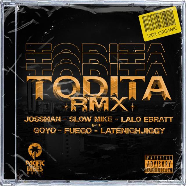 Album cover art for Todita RMX
