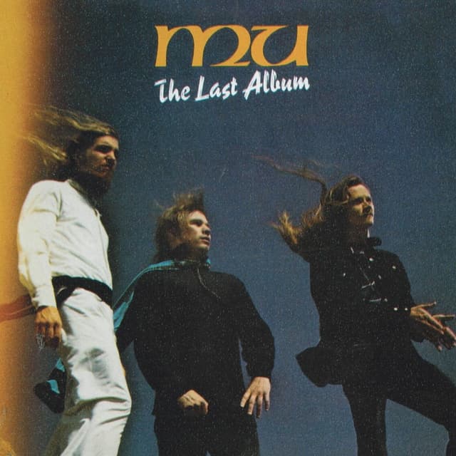 Album cover art for The Last Album