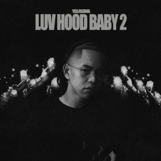 Album cover art for Luv Hood Baby 2
