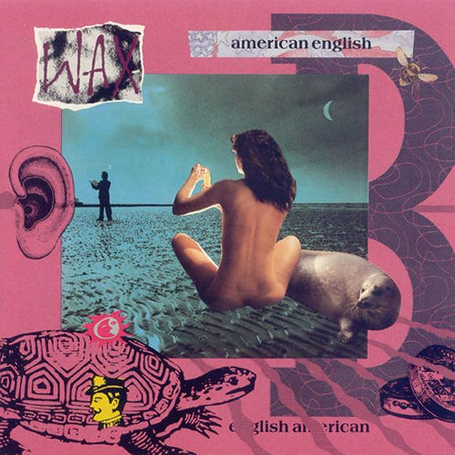 Album cover art for American English