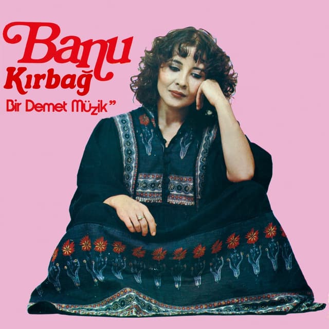 Album cover art for Bir Demet Müzik