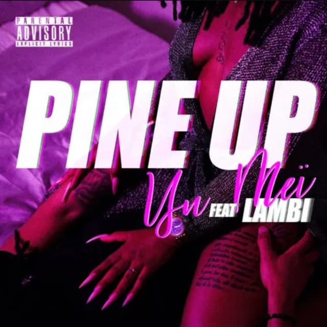 Album cover art for Pine Up