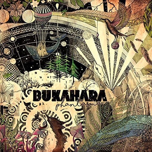 Album cover art for Phantasma
