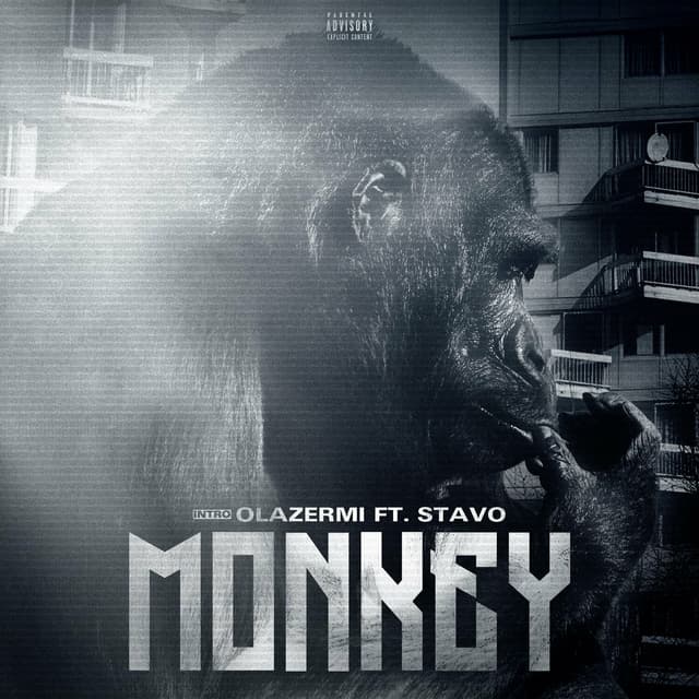Album cover art for Monkey