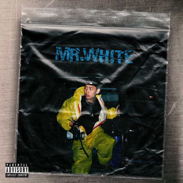 Album cover art for MR. WHITE
