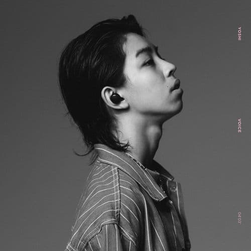 Album cover art for Voice