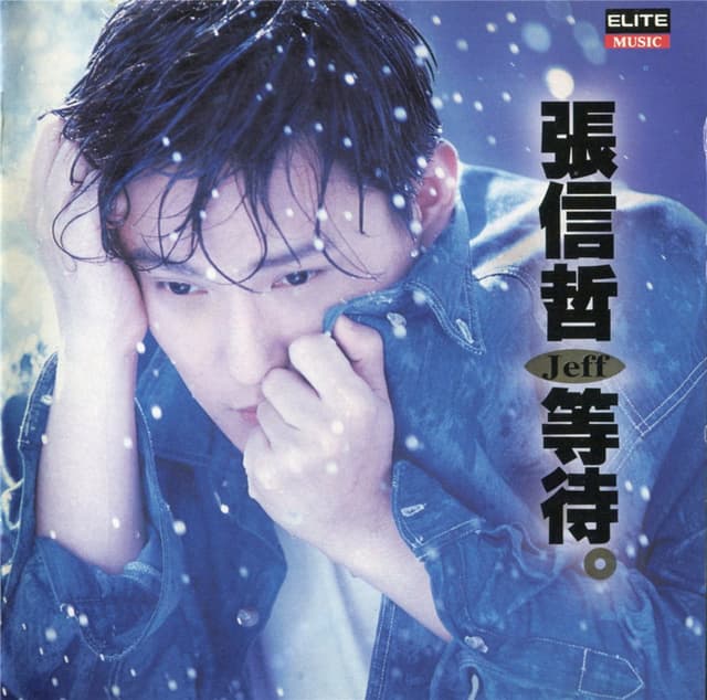 Album cover art for 等待