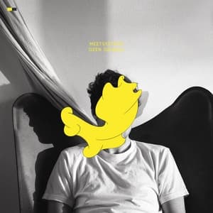 Album cover art for Geen signaal