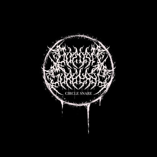 Album cover art for circle snare