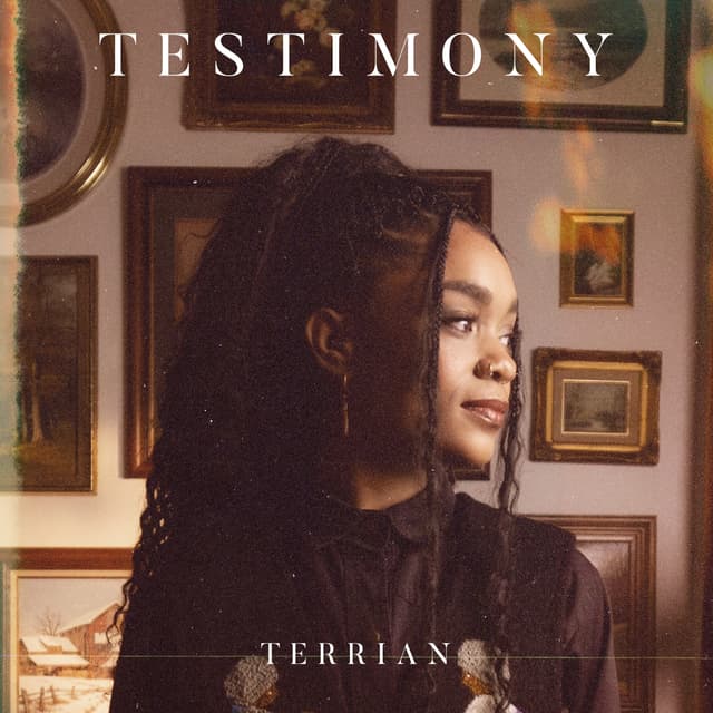 Album cover art for Testimony