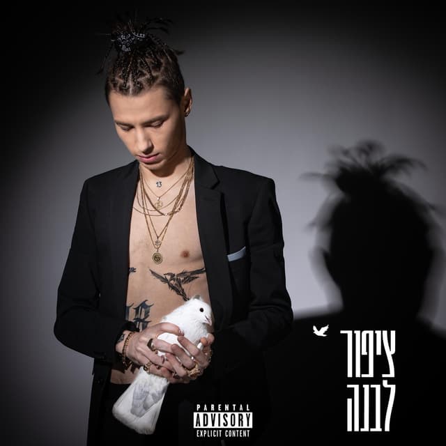 Album cover art for ציפור לבנה