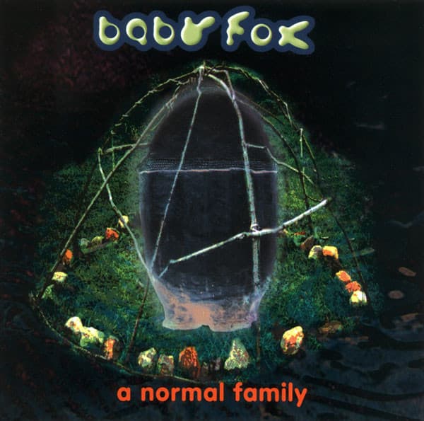 Album cover art for A Normal Family
