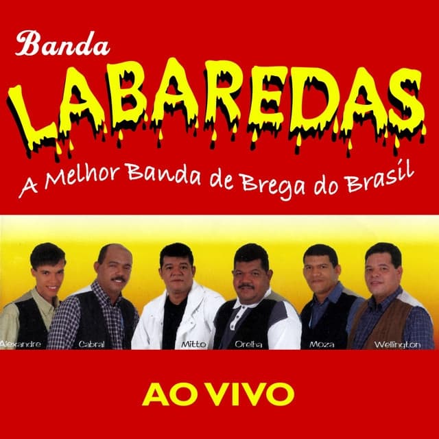 Album cover art for A Melhor Banda de Brega do Brasil