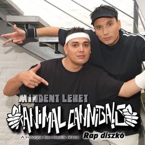 Album cover art for Rap diszkó