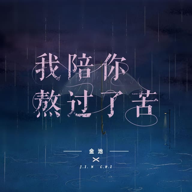 Album cover art for 我陪你熬过了苦