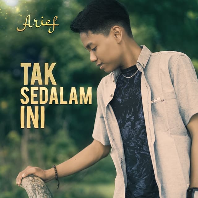 Album cover art for Tak Sedalam Ini