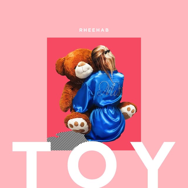 Album cover art for Toy