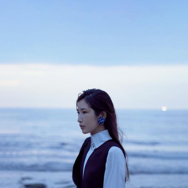 Album cover art for 再也不見