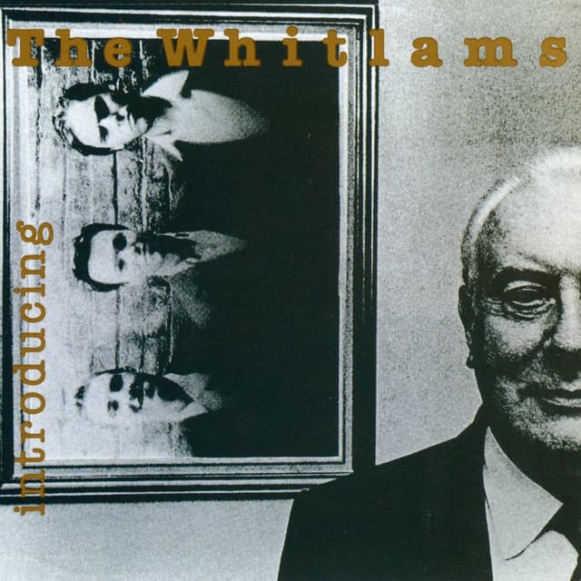 Album cover art for Introducing