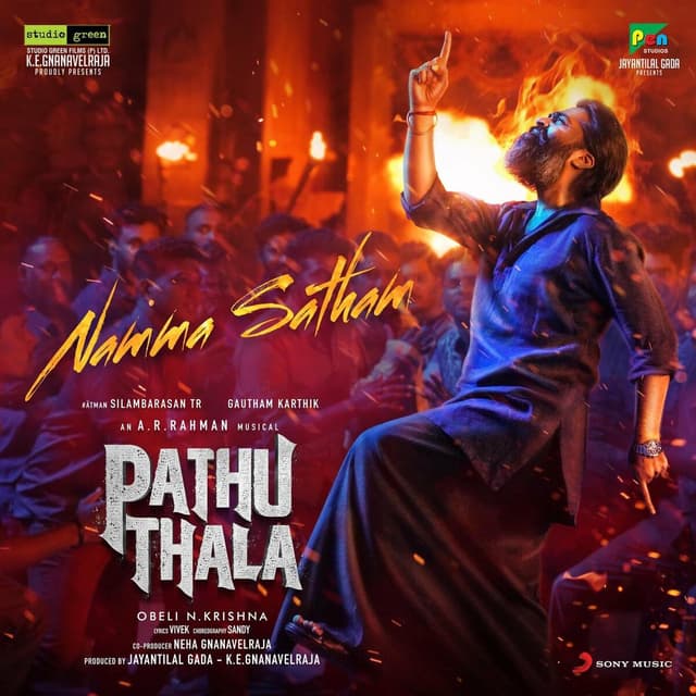 Album cover art for Namma Satham