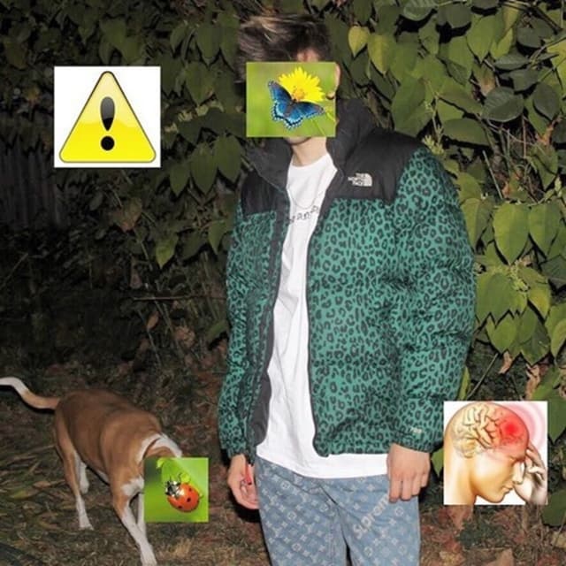 Album cover art for Eco