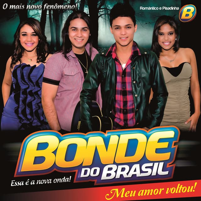 Album cover art for Meu Amor Voltou