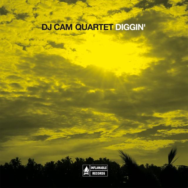 Album cover art for Diggin