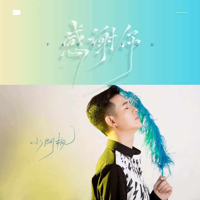 Album cover art for 感谢你