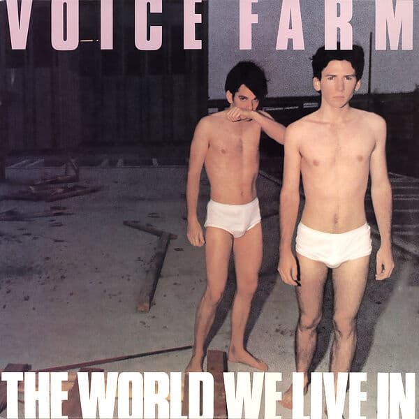 Album cover art for The World We Live In
