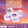 Sunshine State of Mind