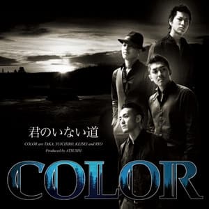 Album cover art for 君のいない道