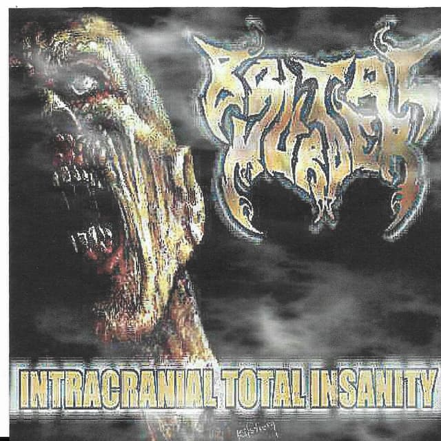 Album cover art for Intracranial Total Insanity