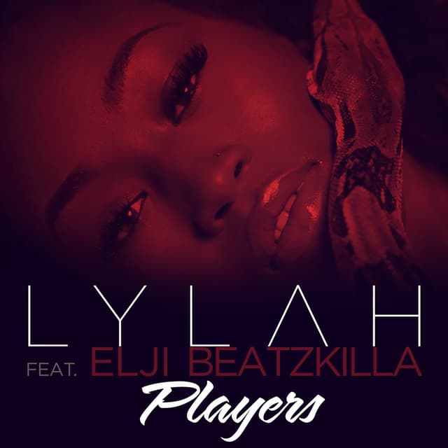 Album cover art for Players