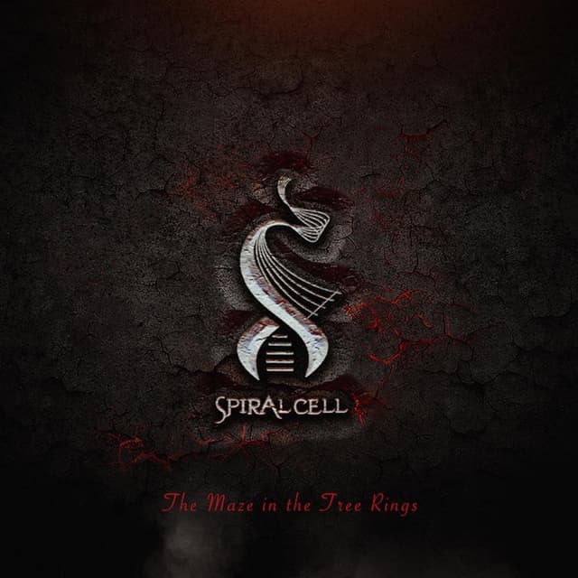 Album cover art for The Maze in the Tree Rings
