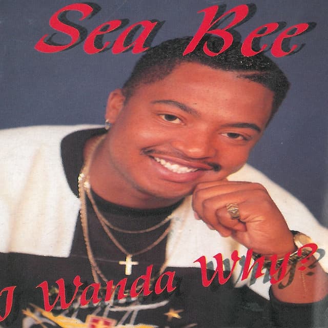 Album cover art for I Wanda Why?