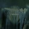 Gazer (Feat. Devin Townsend)