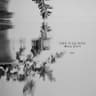 사랑은 먼 길을 돌아온 메아리 같아서 Echoes of Love's Journey
