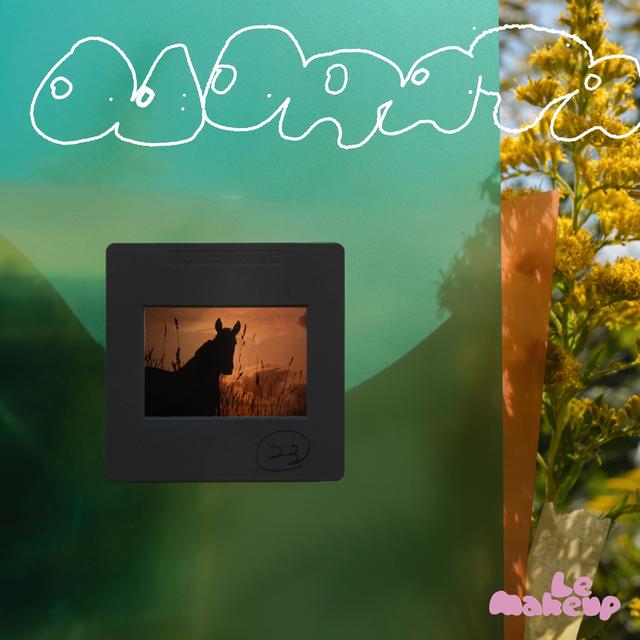 Album cover art for Odorata