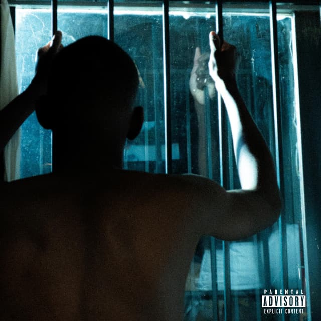 Album cover art for De base