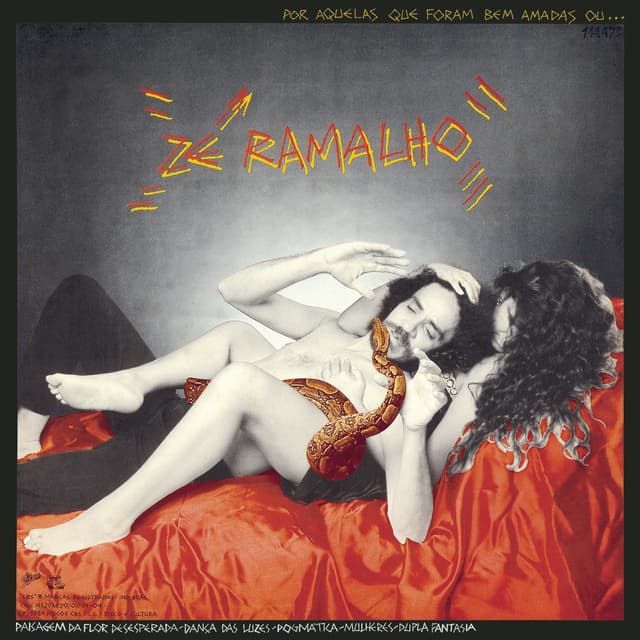 Album cover art for Por Aquelas que Foram Bem Amadas ou pra Não Dizer Que Não Falei de Rock