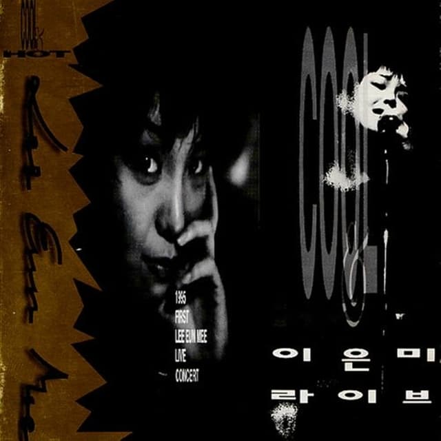 Album cover art for 이은미 라이브: Cool & Hot