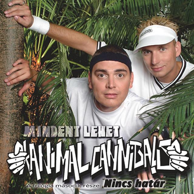 Album cover art for Mindent lehet - Nincs határ