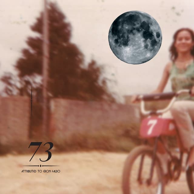 Album cover art for 73