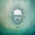 Album cover art for You Are Creating: Limb1