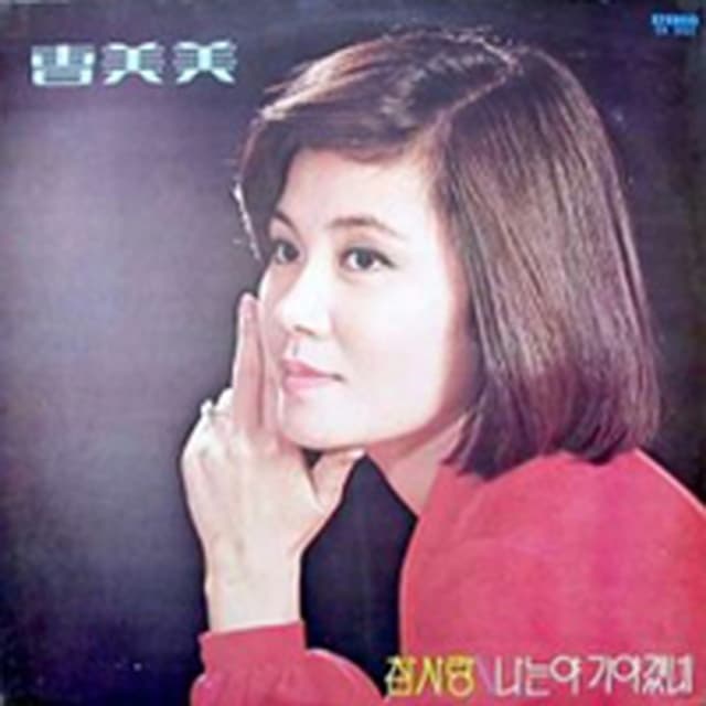 Album cover art for 독집 (내가 미워요 / 나는야 가야겠네)